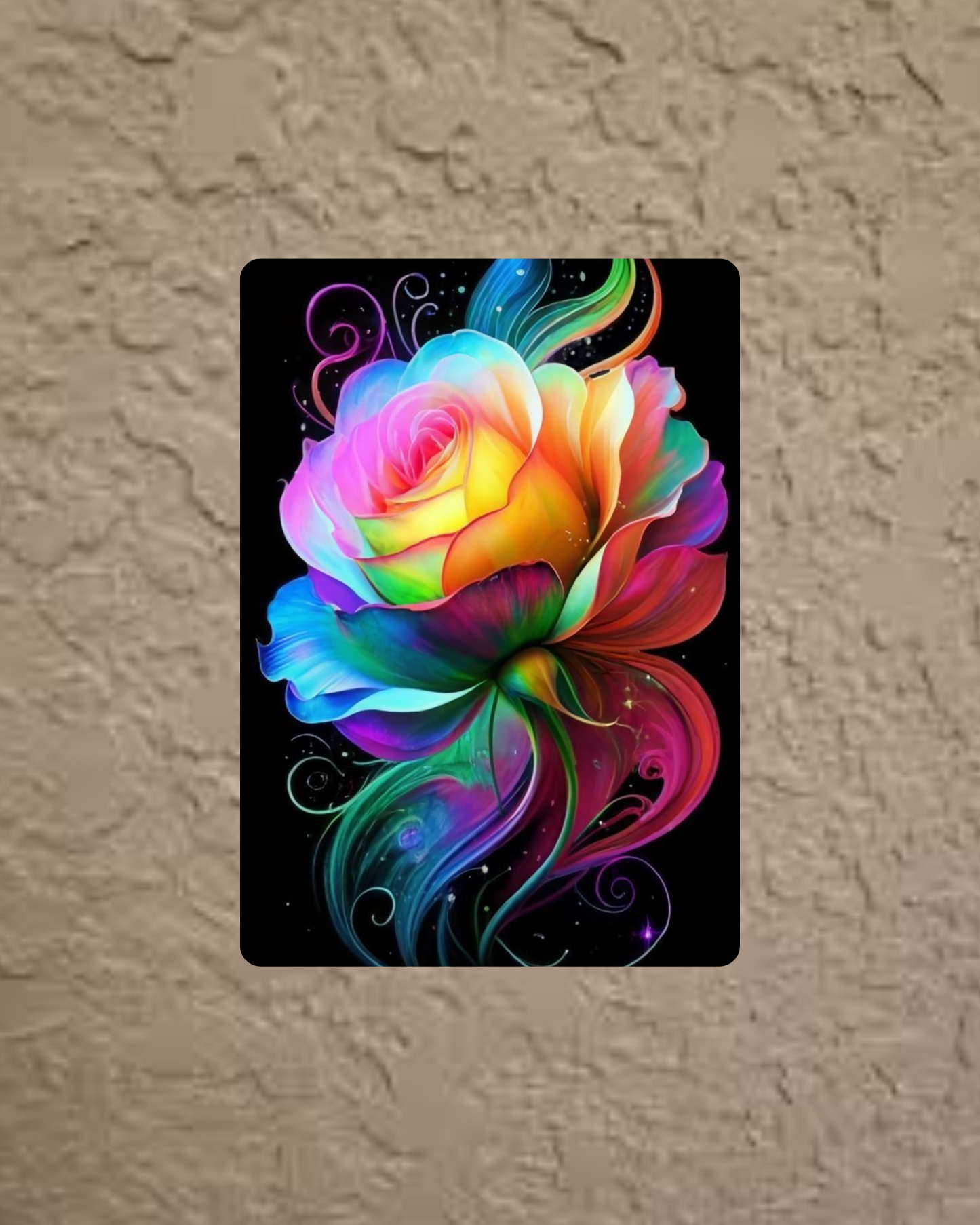 Colorful rose